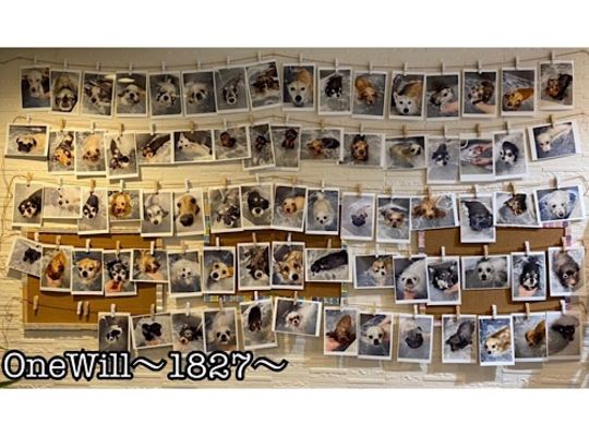 酵素ジャグジー